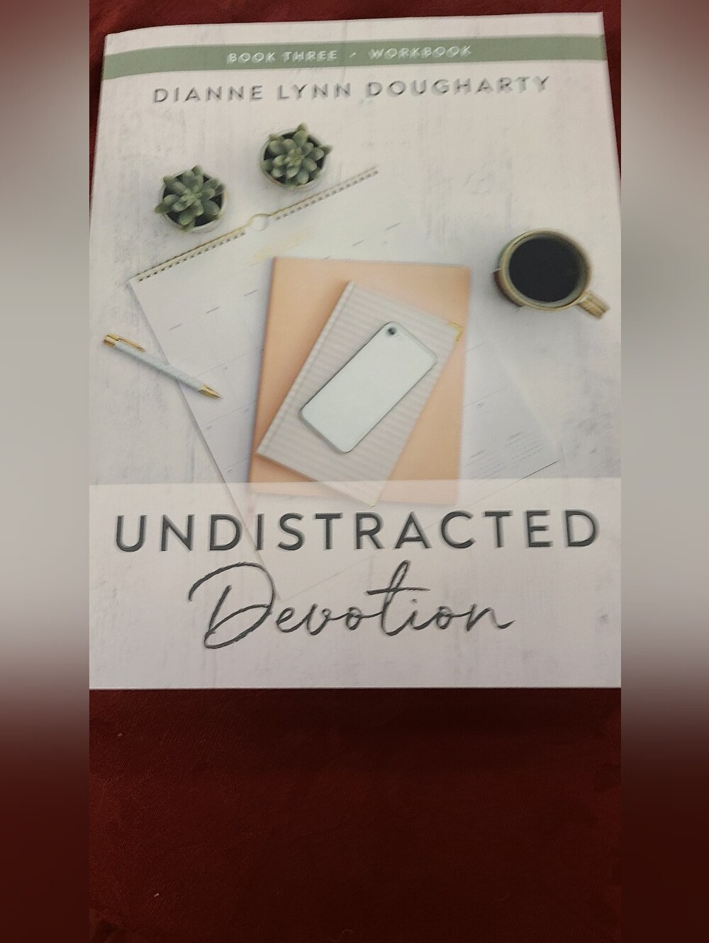 Undistracted Devotion Workbook by Dianne Lynn Dougharty